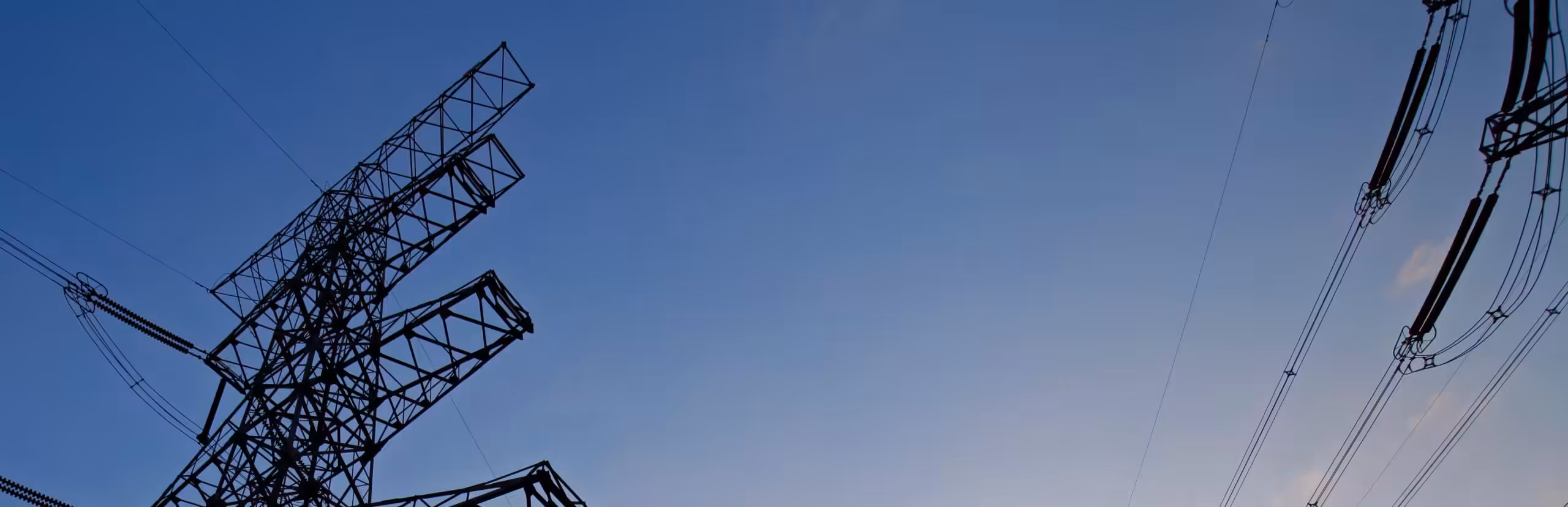 Dienstleistungen Schutz